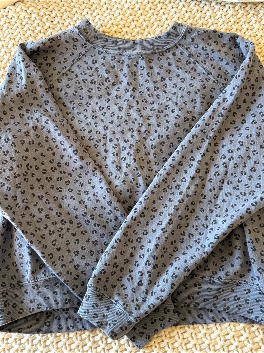 Abercrombie & Fitch women’s soft collection blue leopard print crewneck sweater
